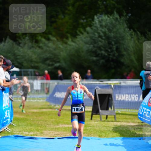 30.08.2026 - Elbe Triathlon Hamburg LAZAROV Photography http://msf.ph/oto/10070871 30.08.2026 12:55:19 Ziel 1831, 1856, 1868 meine-sportfotos.de