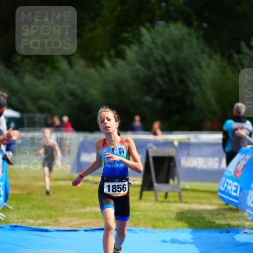 30.08.2026 - Elbe Triathlon Hamburg LAZAROV Photography http://msf.ph/oto/10070882 30.08.2026 12:55:20 Ziel 1831, 1856, 1868 meine-sportfotos.de