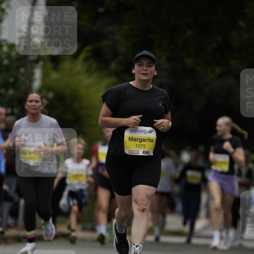 30.08.2026 - Blankeneser Heldenlauf Patografie http://msf.ph/oto/10081300 30.08.2026 09:47:24 Ziel 1252, 1275, 1459, 1460, 1735 meine-sportfotos.de