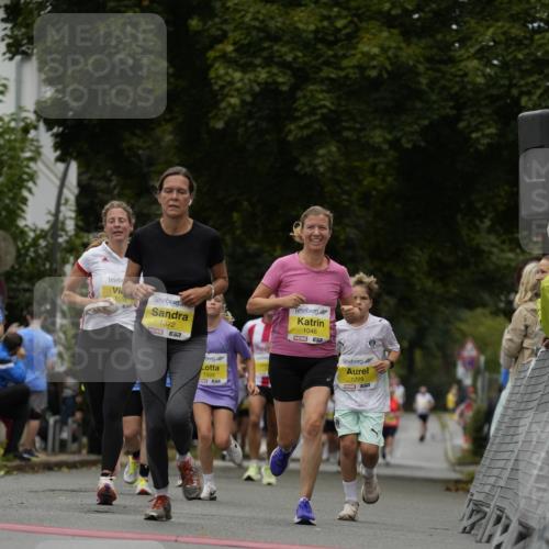 30.08.2026 - Blankeneser Heldenlauf Patografie http://msf.ph/oto/10081480 30.08.2026 09:48:42 Ziel 1046, 1110, 1229, 1232, 1233, 1280, 1328, 1372, 1555, 1726, 1788 meine-sportfotos.de