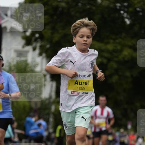 30.08.2026 - Blankeneser Heldenlauf Patografie http://msf.ph/oto/10081492 30.08.2026 09:48:48 Ziel 1046, 1229, 1232, 1233, 1280, 1328, 1372, 1555, 1720, 1726, 1755, 1788 meine-sportfotos.de