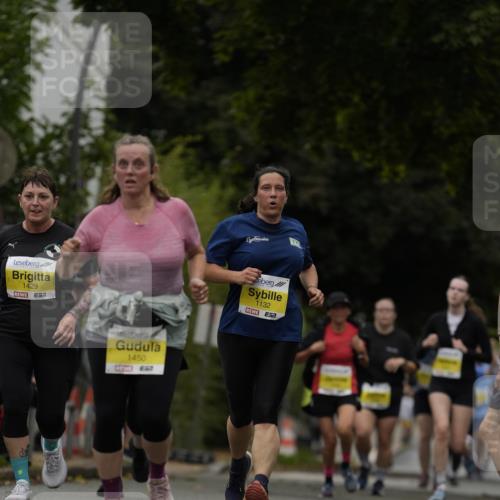 30.08.2026 - Blankeneser Heldenlauf Patografie http://msf.ph/oto/10081637 30.08.2026 09:50:15 Ziel 1386, 1450, 1476, 1750 meine-sportfotos.de