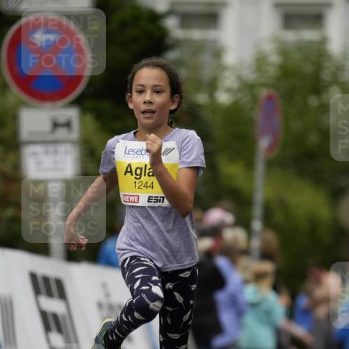 30.08.2026 - Blankeneser Heldenlauf Patografie http://msf.ph/oto/10081740 30.08.2026 09:51:07 Ziel 1001, 1243, 1244, 1473, 1490 meine-sportfotos.de