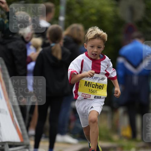30.08.2026 - Blankeneser Heldenlauf Patografie http://msf.ph/oto/10082785 30.08.2026 10:02:40 Ziel 1565 meine-sportfotos.de