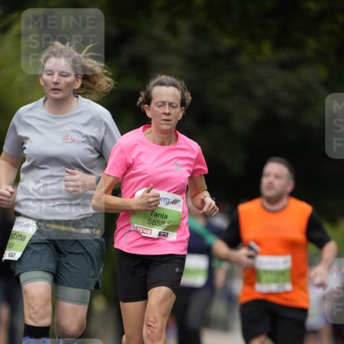 30.08.2026 - Blankeneser Heldenlauf Patografie http://msf.ph/oto/10084659 30.08.2026 10:27:44 Ziel 5090, 5304, 5384, 5509, 5858 meine-sportfotos.de