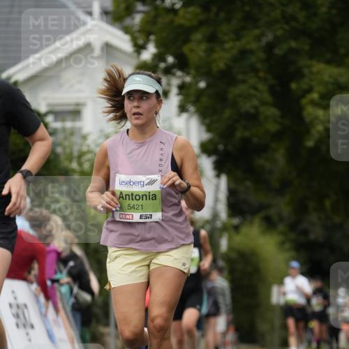 30.08.2026 - Blankeneser Heldenlauf Patografie http://msf.ph/oto/10084925 30.08.2026 10:30:32 Ziel 5153, 5206, 5213, 5292, 5421, 5470, 5733 meine-sportfotos.de