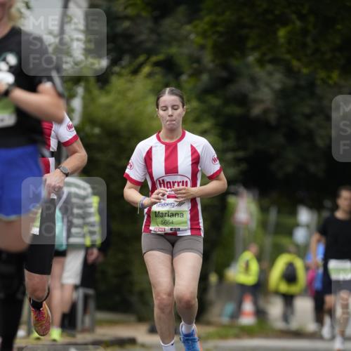 30.08.2026 - Blankeneser Heldenlauf Patografie http://msf.ph/oto/10085229 30.08.2026 10:33:29 Ziel 5134, 5825, 5826 meine-sportfotos.de