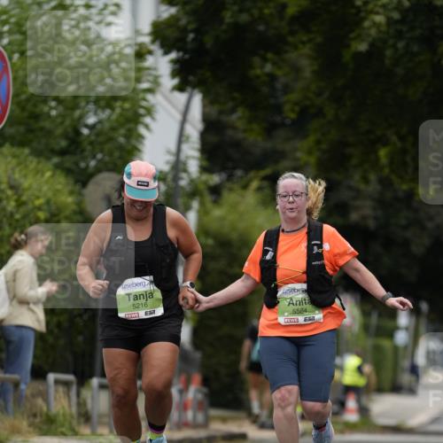 30.08.2026 - Blankeneser Heldenlauf Patografie http://msf.ph/oto/10086587 30.08.2026 10:48:58 Ziel 5216, 5584 meine-sportfotos.de