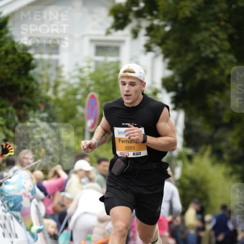 30.08.2026 - Blankeneser Heldenlauf Patografie http://msf.ph/oto/10087191 30.08.2026 11:24:03 Ziel 2893 meine-sportfotos.de