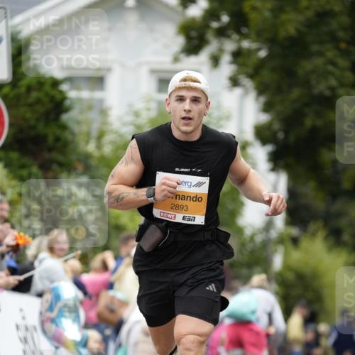 30.08.2026 - Blankeneser Heldenlauf Patografie http://msf.ph/oto/10087192 30.08.2026 11:24:03 Ziel 2893 meine-sportfotos.de