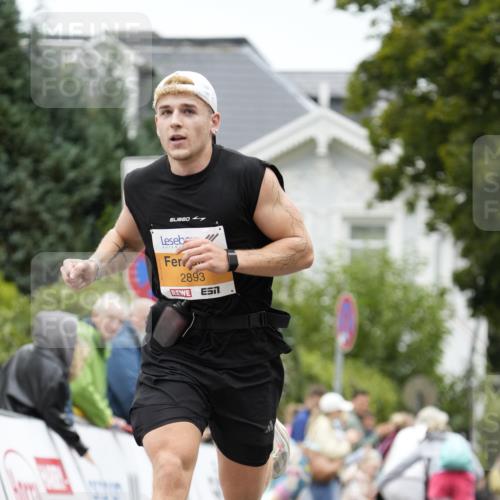 30.08.2026 - Blankeneser Heldenlauf Patografie http://msf.ph/oto/10087193 30.08.2026 11:24:04 Ziel 2893 meine-sportfotos.de