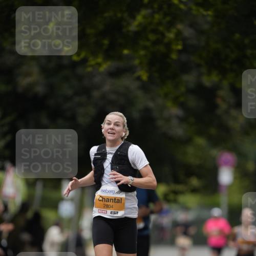 30.08.2026 - Blankeneser Heldenlauf Patografie http://msf.ph/oto/10087502 30.08.2026 11:29:53 Ziel 2804 meine-sportfotos.de