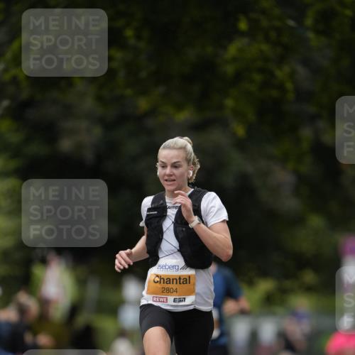 30.08.2026 - Blankeneser Heldenlauf Patografie http://msf.ph/oto/10087508 30.08.2026 11:29:54 Ziel 2804 meine-sportfotos.de