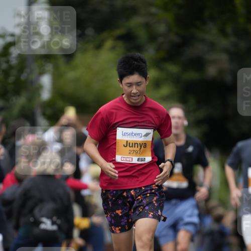 30.08.2026 - Blankeneser Heldenlauf Patografie http://msf.ph/oto/10088798 30.08.2026 11:41:35 Ziel 2405, 2762, 2797 meine-sportfotos.de
