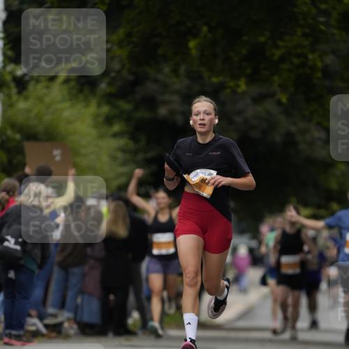 30.08.2026 - Blankeneser Heldenlauf Patografie http://msf.ph/oto/10088987 30.08.2026 11:46:05 Ziel 2503, 2532 meine-sportfotos.de