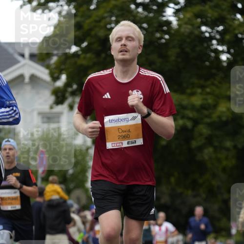 30.08.2026 - Blankeneser Heldenlauf Patografie http://msf.ph/oto/10089194 30.08.2026 11:49:39 Ziel 2261, 2267, 2365, 2550, 2569, 2657, 2721, 2960 meine-sportfotos.de