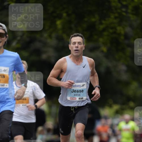 30.08.2026 - Blankeneser Heldenlauf Patografie http://msf.ph/oto/10089453 30.08.2026 11:52:38 Ziel 2016, 2627, 2911, 2944, 4456 meine-sportfotos.de