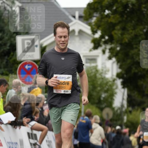 30.08.2026 - Blankeneser Heldenlauf Patografie http://msf.ph/oto/10089956 30.08.2026 11:58:01 Ziel 2560, 2812 meine-sportfotos.de