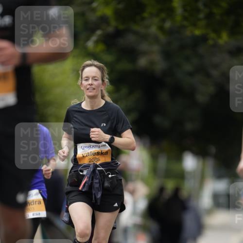 30.08.2026 - Blankeneser Heldenlauf Patografie http://msf.ph/oto/10091170 30.08.2026 12:11:17 Ziel 2320, 2438, 2541, 4373, 4445 meine-sportfotos.de