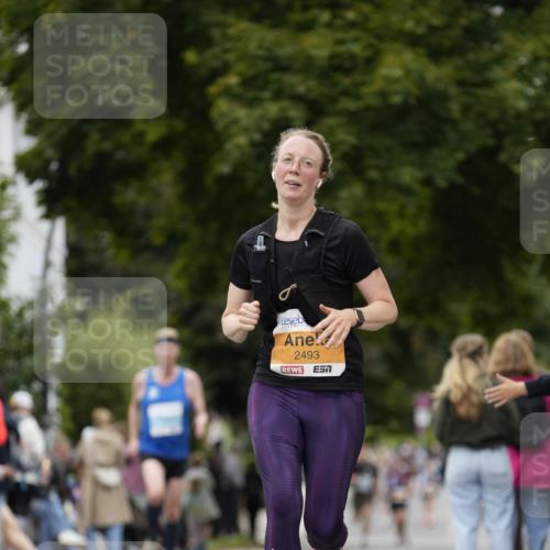 30.08.2026 - Blankeneser Heldenlauf Patografie http://msf.ph/oto/10091462 30.08.2026 12:18:59 Ziel 2493, 4082, 4248, 4357 meine-sportfotos.de