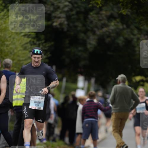 30.08.2026 - Blankeneser Heldenlauf Patografie http://msf.ph/oto/10092273 30.08.2026 12:29:47 Ziel  meine-sportfotos.de