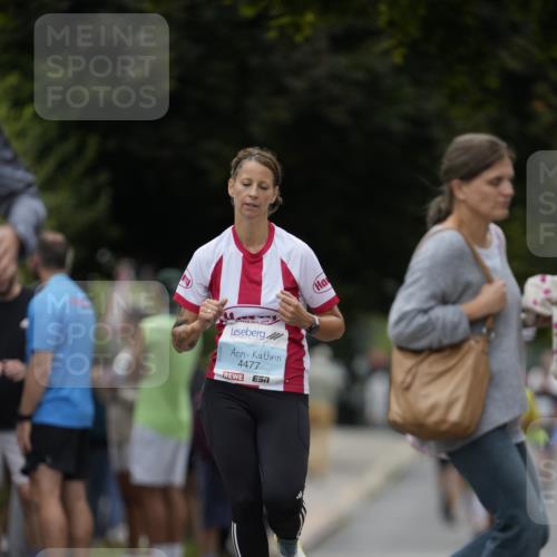 30.08.2026 - Blankeneser Heldenlauf Patografie http://msf.ph/oto/10092586 30.08.2026 12:37:25 Ziel 2084, 4239, 4257 meine-sportfotos.de