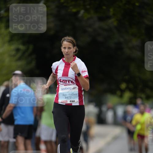 30.08.2026 - Blankeneser Heldenlauf Patografie http://msf.ph/oto/10092587 30.08.2026 12:37:26 Ziel 2084, 4239, 4257 meine-sportfotos.de