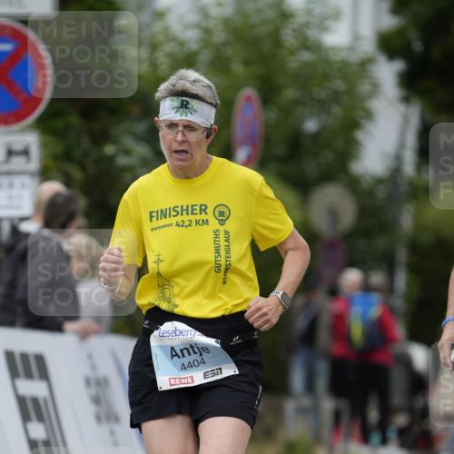 30.08.2026 - Blankeneser Heldenlauf Patografie http://msf.ph/oto/10092925 30.08.2026 12:52:43 Ziel 2254, 4392, 4404 meine-sportfotos.de
