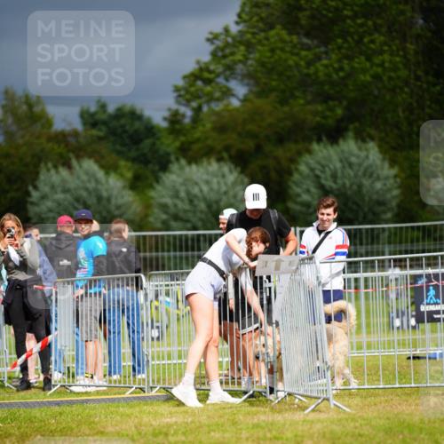 30.08.2026 - Elbe Triathlon Hamburg LAZAROV Photography http://msf.ph/oto/10093574 30.08.2026 14:31:23 Laufen  meine-sportfotos.de
