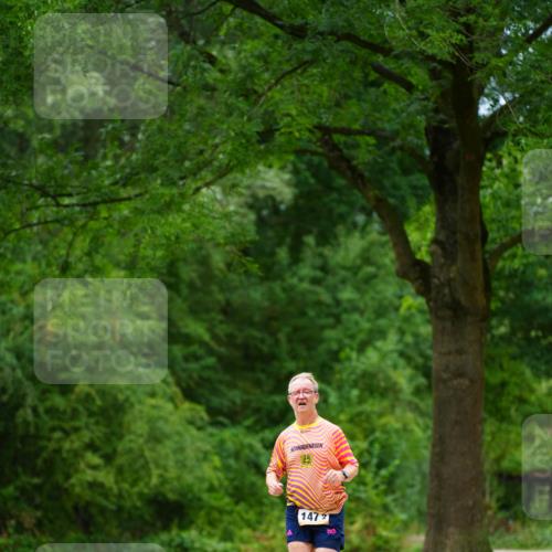 30.08.2026 - Elbe Triathlon Hamburg LAZAROV Photography http://msf.ph/oto/10093870 30.08.2026 15:23:14 Laufen 14721 meine-sportfotos.de