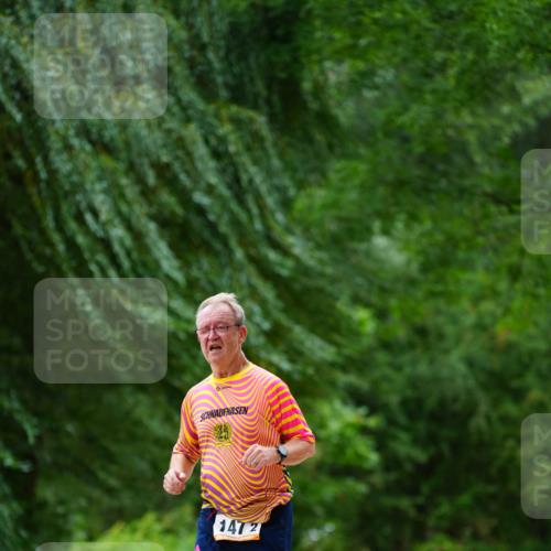 30.08.2026 - Elbe Triathlon Hamburg LAZAROV Photography http://msf.ph/oto/10093878 30.08.2026 15:23:16 Laufen 1472 meine-sportfotos.de