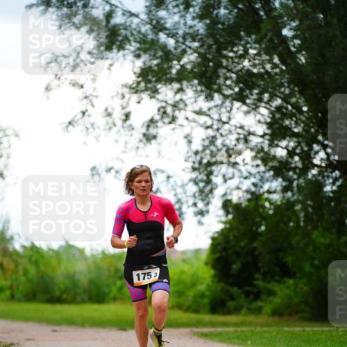 30.08.2026 - Elbe Triathlon Hamburg LAZAROV Photography http://msf.ph/oto/10094052 30.08.2026 15:33:39 Laufen 1753 meine-sportfotos.de