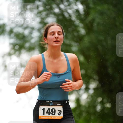 30.08.2026 - Elbe Triathlon Hamburg LAZAROV Photography http://msf.ph/oto/10094200 30.08.2026 15:39:15 Laufen 149, 3 meine-sportfotos.de