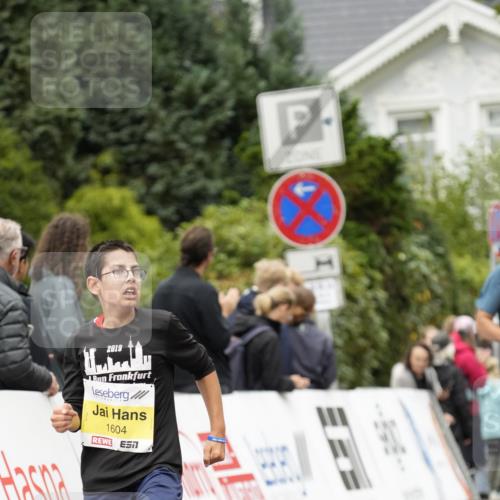 30.08.2026 - Blankeneser Heldenlauf Patografie http://msf.ph/oto/10094515 30.08.2026 09:41:27 Ziel 1331, 1368, 1421, 1523, 1531, 1604, 3501 meine-sportfotos.de