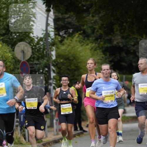 30.08.2026 - Blankeneser Heldenlauf Patografie http://msf.ph/oto/10094580 30.08.2026 09:42:44 Ziel 1027, 1084, 1219, 1631, 1632, 1652, 1653, 1770, 1771, 1772 meine-sportfotos.de