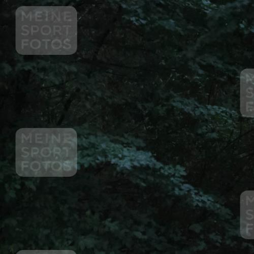 30.08.2026 - Elbe Triathlon Hamburg Antke Förster http://msf.ph/oto/10094595 30.08.2026 07:18:08 Laufen  meine-sportfotos.de
