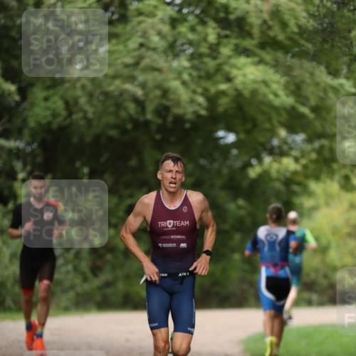 30.08.2026 - Elbe Triathlon Hamburg Antke Förster http://msf.ph/oto/10095217 30.08.2026 09:52:38 Laufen 1 meine-sportfotos.de