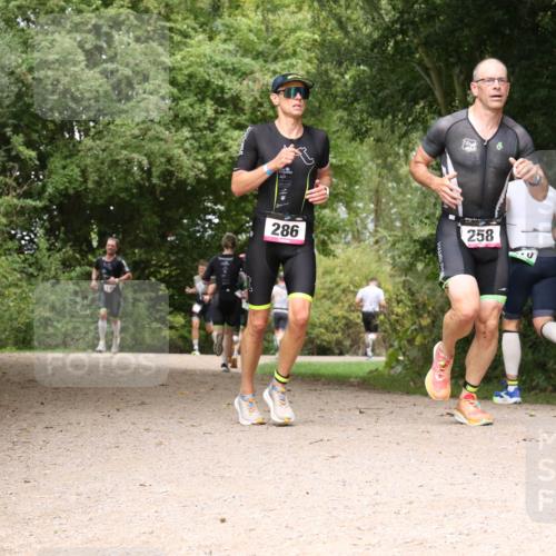 30.08.2026 - Elbe Triathlon Hamburg Antke Förster http://msf.ph/oto/10095236 30.08.2026 10:01:27 Laufen 286, 258 meine-sportfotos.de