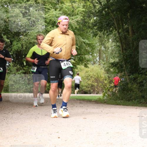 30.08.2026 - Elbe Triathlon Hamburg Antke Förster http://msf.ph/oto/10098548 30.08.2026 10:47:46 Laufen 636, 580, 4, 443 meine-sportfotos.de