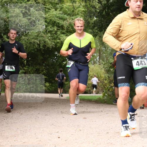 30.08.2026 - Elbe Triathlon Hamburg Antke Förster http://msf.ph/oto/10098552 30.08.2026 10:47:47 Laufen 21, 636, 80, 443 meine-sportfotos.de