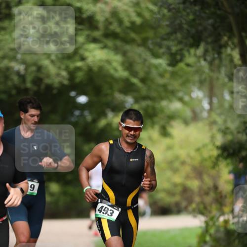30.08.2026 - Elbe Triathlon Hamburg Antke Förster http://msf.ph/oto/10099349 30.08.2026 10:53:16 Laufen 9, 493 meine-sportfotos.de