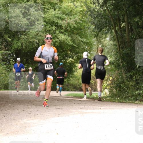 30.08.2026 - Elbe Triathlon Hamburg Antke Förster http://msf.ph/oto/10099492 30.08.2026 10:58:55 Laufen 1896 meine-sportfotos.de