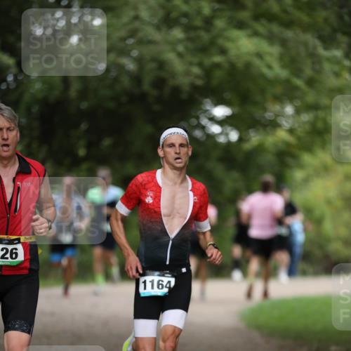 30.08.2026 - Elbe Triathlon Hamburg Antke Förster http://msf.ph/oto/10100648 30.08.2026 11:07:57 Laufen 26, 1164 meine-sportfotos.de