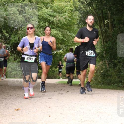 30.08.2026 - Elbe Triathlon Hamburg Antke Förster http://msf.ph/oto/10102403 30.08.2026 11:29:13 Laufen 803, 881, 1016 meine-sportfotos.de