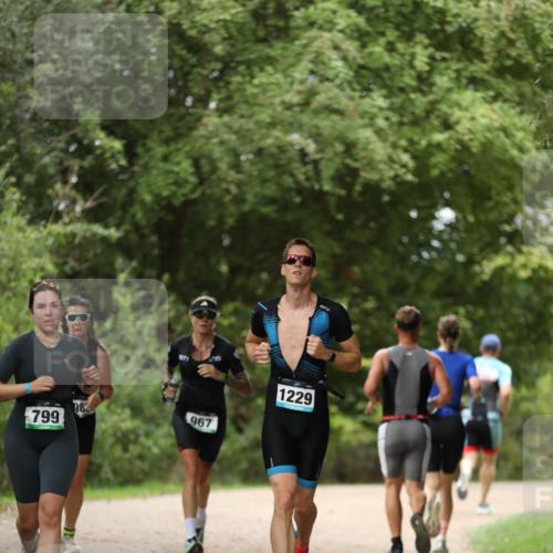 30.08.2026 - Elbe Triathlon Hamburg Antke Förster http://msf.ph/oto/10102496 30.08.2026 11:26:46 Laufen 799, 983, 967, 1229 meine-sportfotos.de