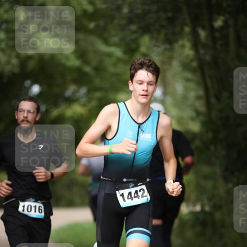 30.08.2026 - Elbe Triathlon Hamburg Antke Förster http://msf.ph/oto/10102708 30.08.2026 11:29:12 Laufen 1016, 1442 meine-sportfotos.de