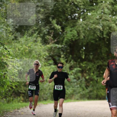 30.08.2026 - Elbe Triathlon Hamburg Antke Förster http://msf.ph/oto/10103048 30.08.2026 11:33:56 Laufen 977, 929 meine-sportfotos.de