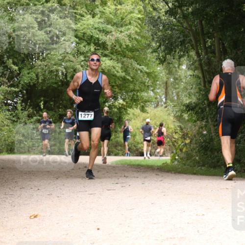 30.08.2026 - Elbe Triathlon Hamburg Antke Förster http://msf.ph/oto/10103087 30.08.2026 11:37:39 Laufen 1277 meine-sportfotos.de