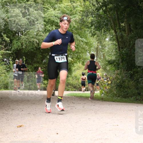 30.08.2026 - Elbe Triathlon Hamburg Antke Förster http://msf.ph/oto/10103179 30.08.2026 11:38:49 Laufen 1278, 1375 meine-sportfotos.de