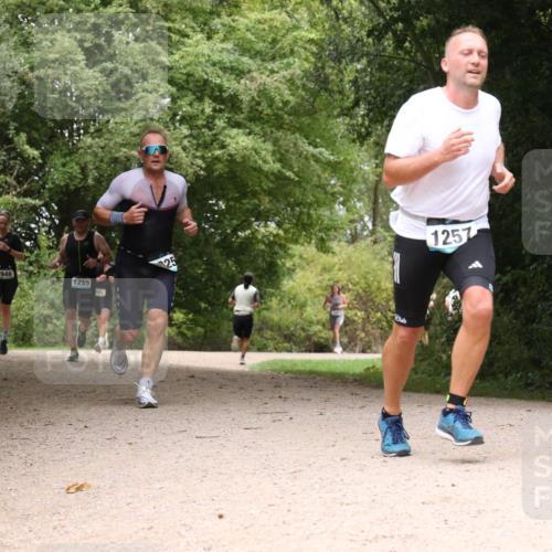 30.08.2026 - Elbe Triathlon Hamburg Antke Förster http://msf.ph/oto/10103301 30.08.2026 11:40:19 Laufen 946, 1255, 1257 meine-sportfotos.de
